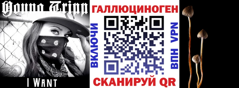 Псилоцибиновые грибы прущие грибы  хочу наркоту  Спасск-Рязанский 